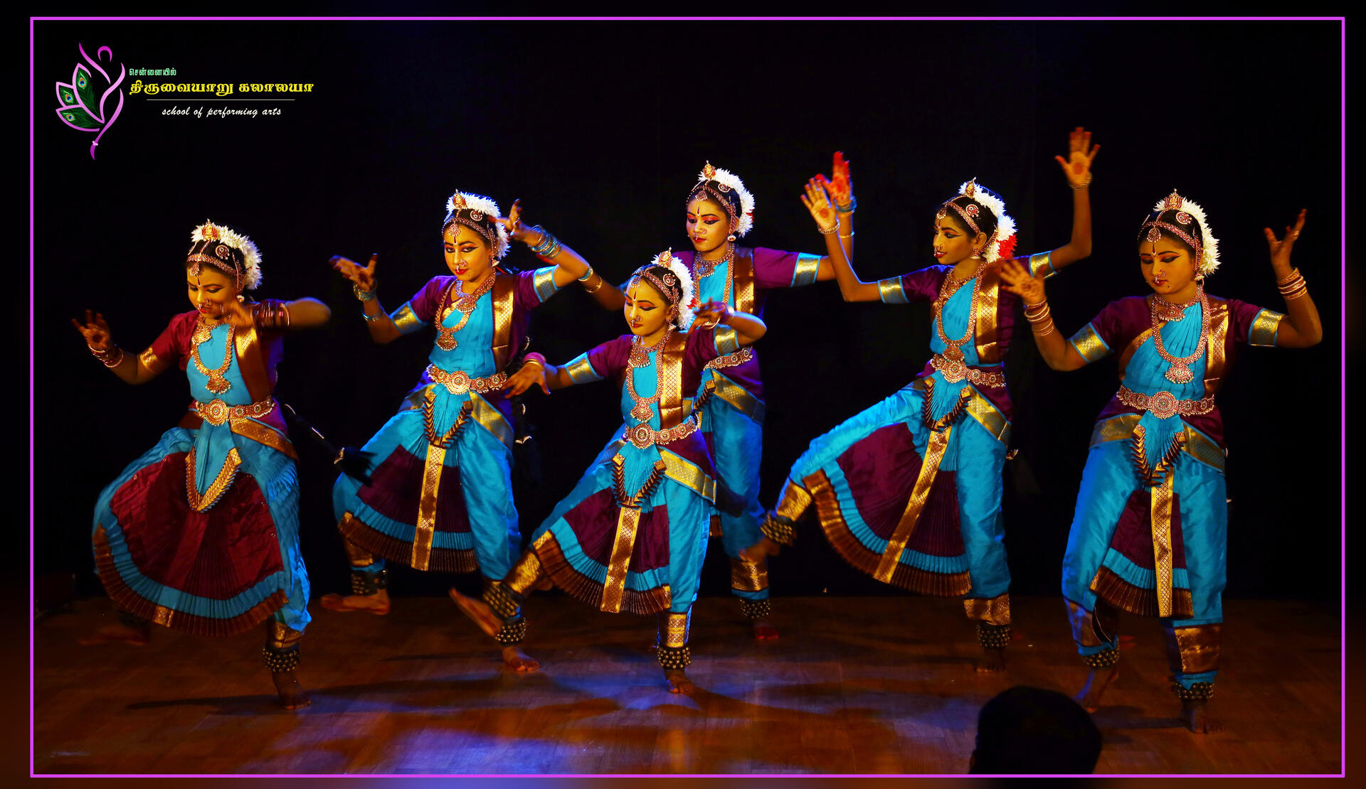 Bharatanatyam performance at cultural festival